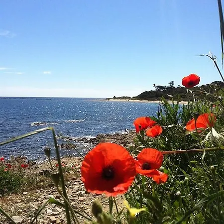 Les Floralies Saint Tropez